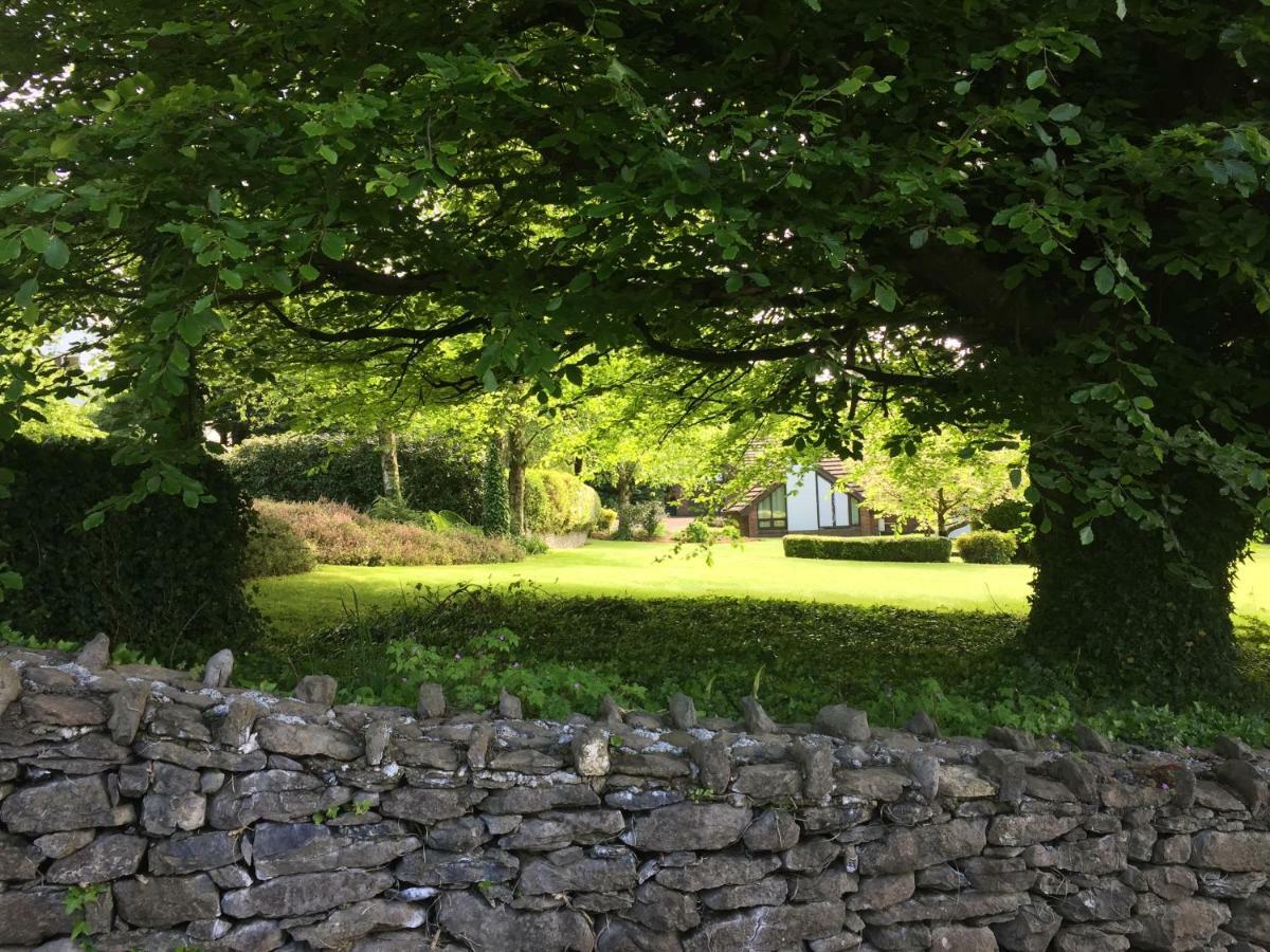 Tudor Lodge Guest Accommodation Bunratty Dış mekan fotoğraf